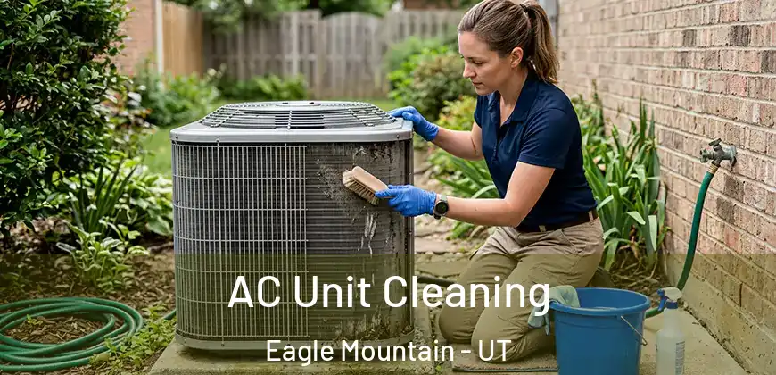 AC Unit Cleaning Eagle Mountain - UT